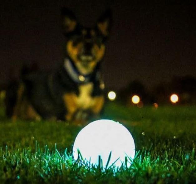 Chuckit! Ball Glow In the Dark Dog Toy, Durable Rubber Dog Balls, Launcher Thrower Compatible Interactive Toys for Dogs for Boredom, Medium, Pack of 2
