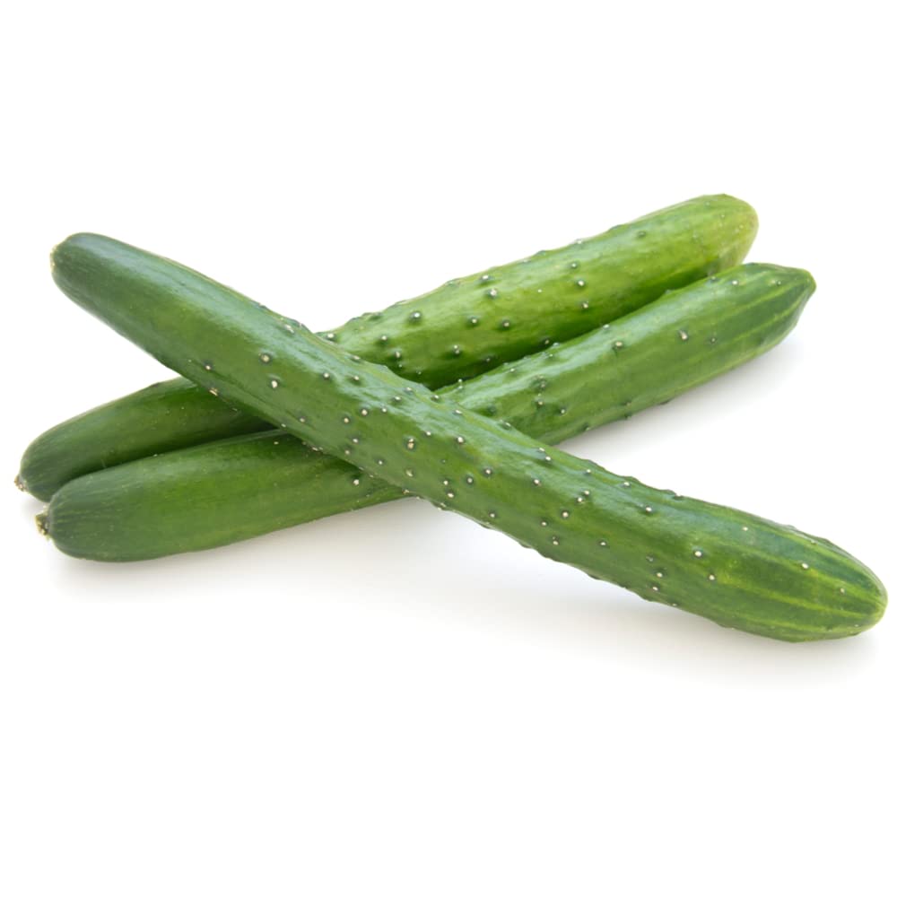 Japanese Cucumber Seeds (Shintokiwa) (30 Seeds)