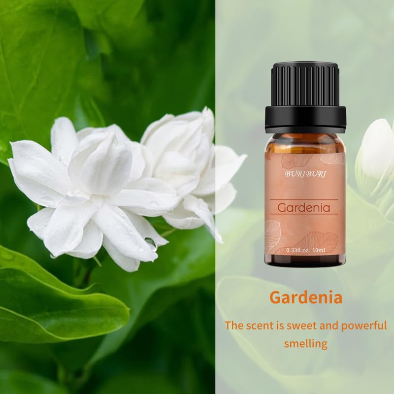 BURIBURI Jasmine Oil and Gardenia Essential Oils Gift Set, 100% Pure, Undiluted, Natural, Organic Aromatherapy Jasmine Essential Oils for Diffuser, Massage, 10MLx2