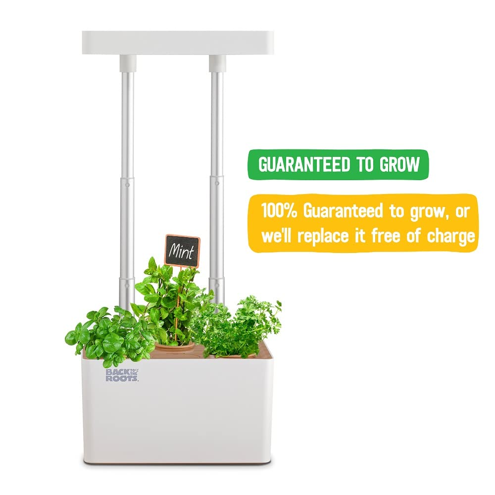 Back to the Roots v1.0 Hydroponic Grow Kit, 2022 Model