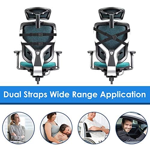 Gel Lumbar Support Pillow for Office Chair Car Gaming Chair Lower Back Pain Relief Back Support, Cooling Memory Foam Cushion for not Stand The Heat, 3D Mesh Cover Ergonomic Orthopedic Back Rest