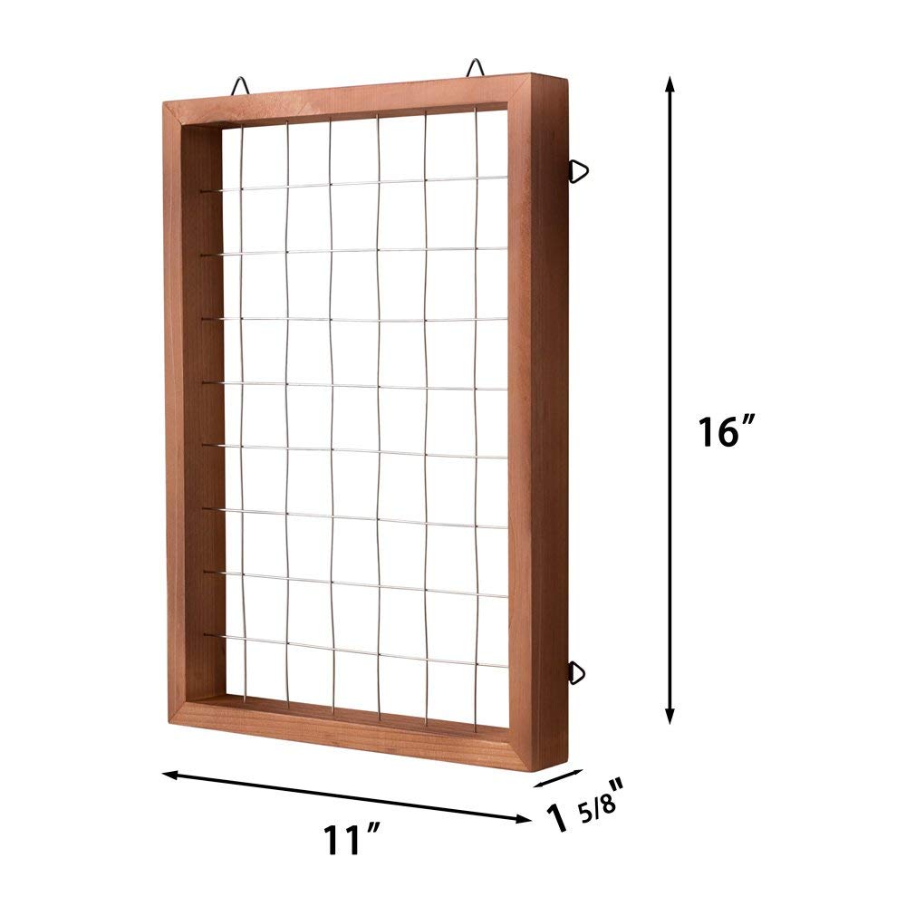 Mkono Air Plant Frame Hanging Airplant Holder Tillandsia Display Hanger Wooden Shelf Wall Decor for House Plants, Succulent, Christma Gifts for Plant Lovers, 16" (Plant Not Included)