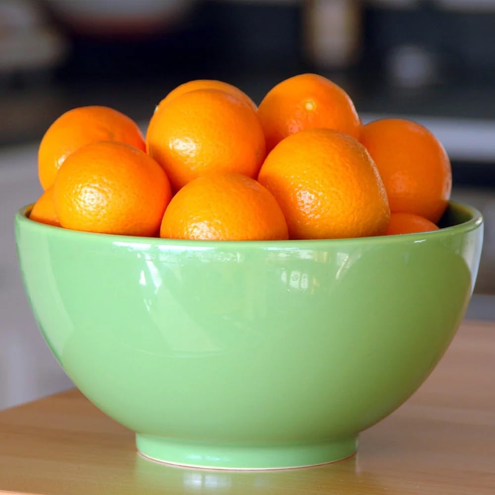 Brighter Blooms - Calamondin Orange Tree, 1-2 ft. - No Shipping to AK, AL, AZ, CA, FL, GA, HI, LA, MS, OR, TX