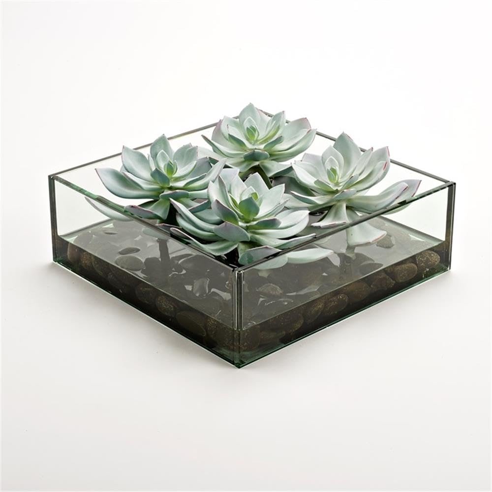 Pemberly Row Contemporary Frosted Echeveria in Marina Bowl, Black River Rock, Realistic Handcrafted Faux Succulent, Low Maintenance Decor for Home or Office
