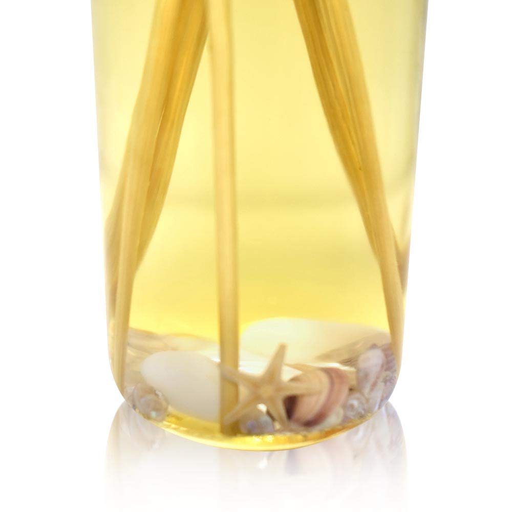 Urban Naturals Ocean Mist & Sea Salt Reed Diffuser Set | Made with Essential Oils & Real Seashells | Decorative Air Freshener Room Diffuser