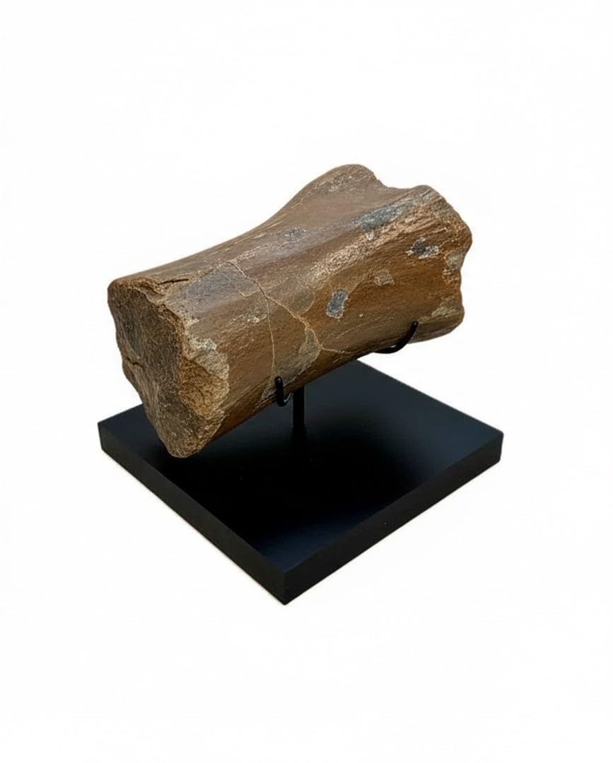 Clearco Mineral Display Stand for Minerals, Spheres, Rocks, Shells, Baseballs, Ancient Oil Lamps, Artifacts and other items (5 inch)
