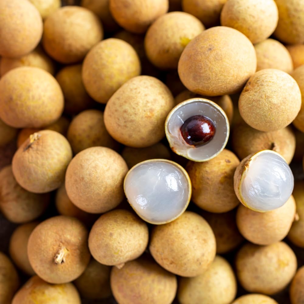 Live Longan Tree, Longan Fruit Plant in 4" Pot, Hardy and Sweet Tropical Fruit Tree, 6 to 8 Inches Height