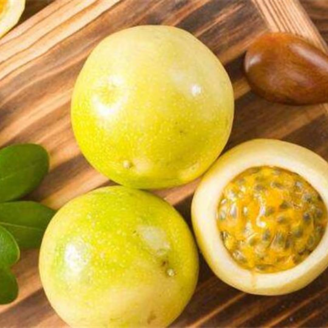 Yellow Passion Fruit Plants Live, Live Passion Fruit Vine Plants, 4 to 6 Inches Tall, Passion Plant