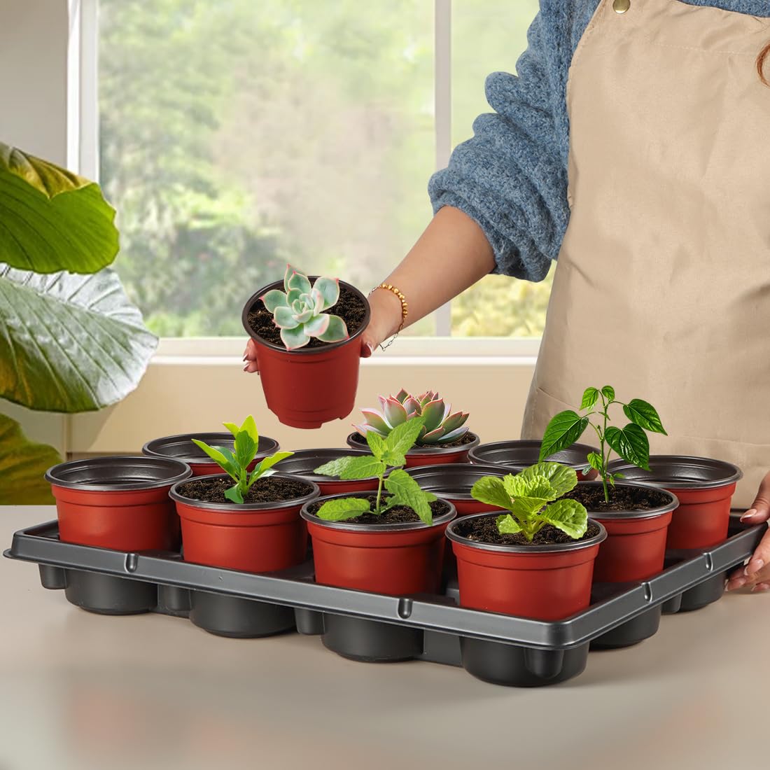 RooTrimmer 4 inch Round Nursery Pots 60pcs, 12 Cell Nursery Pots Trays 5 Pcs, Sturdy Seeds Starting Germination Shuttle Carrying Trays, Small Planter Nursery Propagation 5 Sets