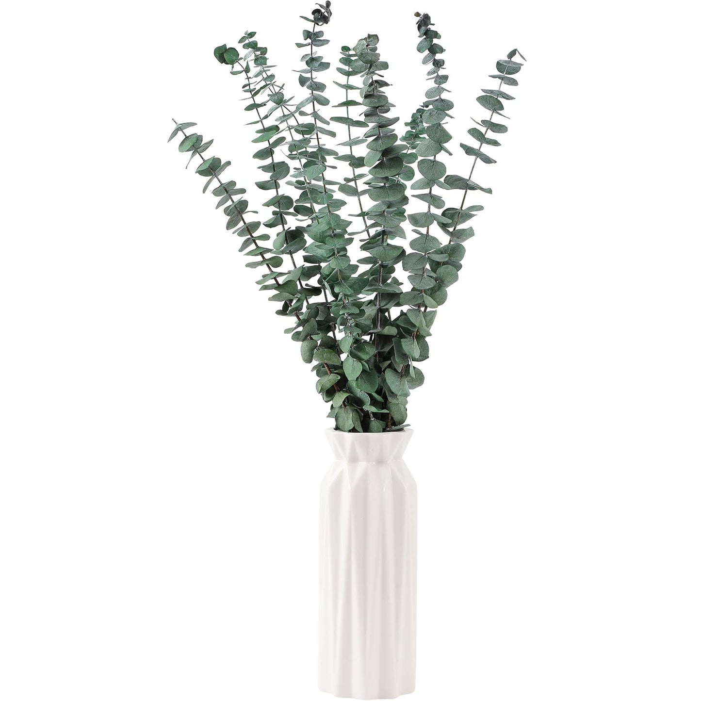 10 Pcs Dried Eucalyptus Stems 17" Real Eucalyptus for Shower Hanging 100% Made from Fresh Leaves, Wedding, Home, Farmhouse, DIY Spring Decor Bathroom Decor Home Decor
