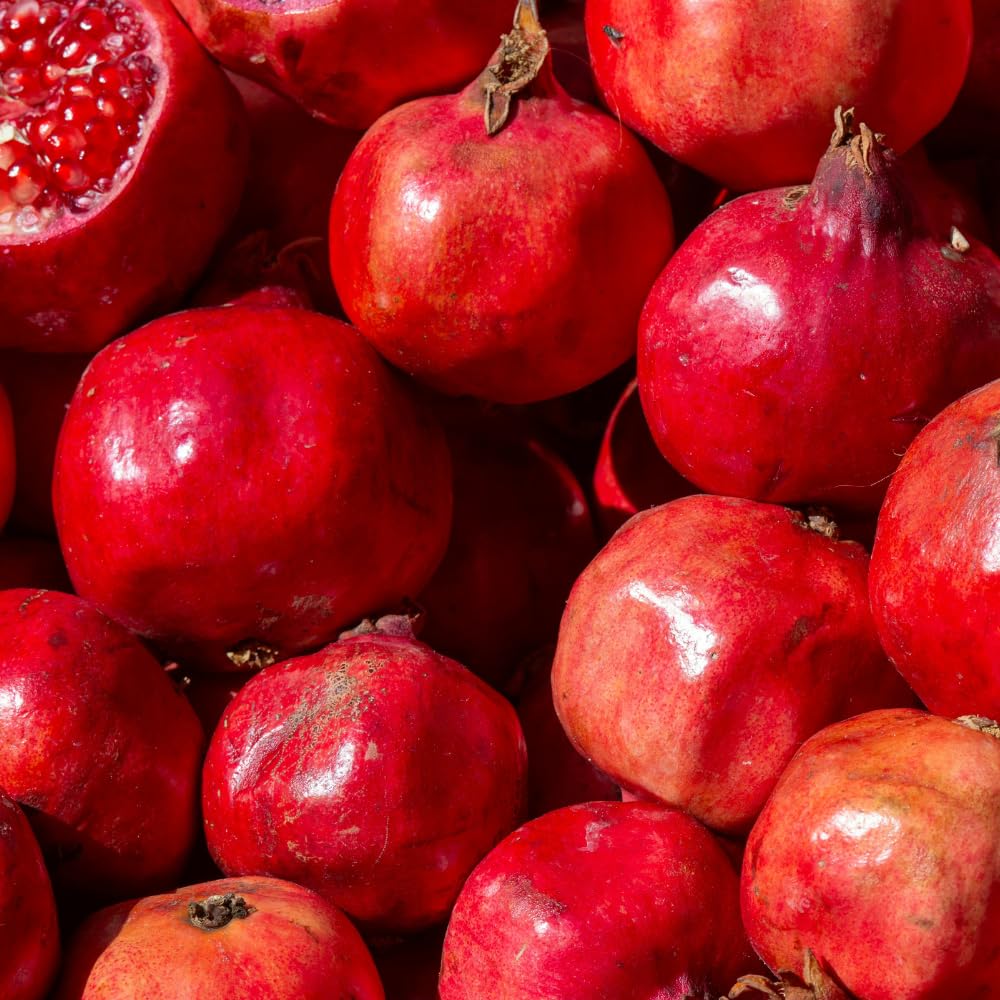 Wonderful Pomegranate Live Plant, Sweet Pomegranate Seedlings from 4 to 6 Inches Tall, Red Fruit Tree for Patios and Gardens