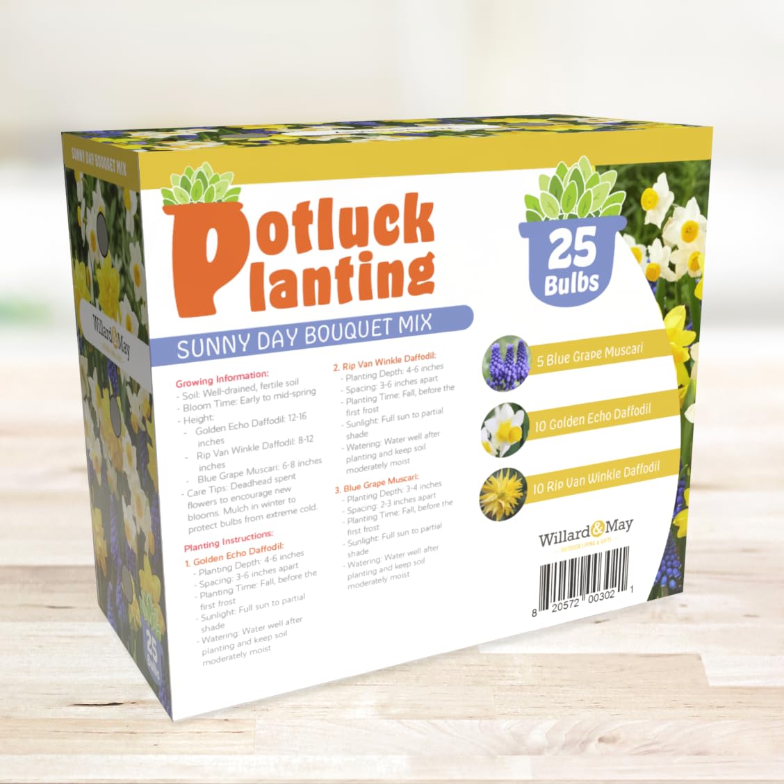 All-in-One Flower Garden Kit - 25 Flower Bulbs Per Box - Potluck Planting Sunny Day Bouquet Mix - Daffodil and Muscari Mix - Fragrant - Naturalizing - Live Outdoor Garden - Easy to Plant Flowers