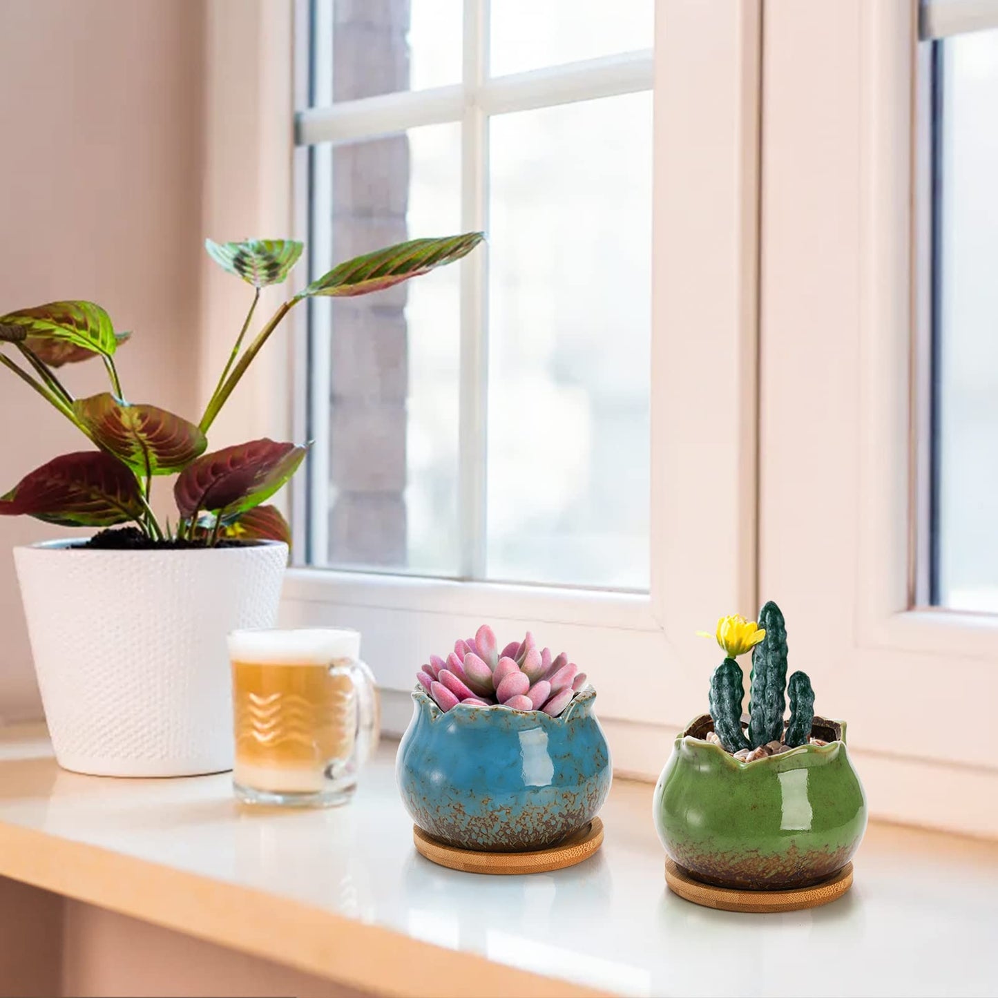TOPZEA Set of 6 Succulent Plant Pots, 4 Inch Glazed Ceramic Pots with Drainage and Saucer, Mini Bonsai Planter Small Flower Pots for Indoor Outdoor Use