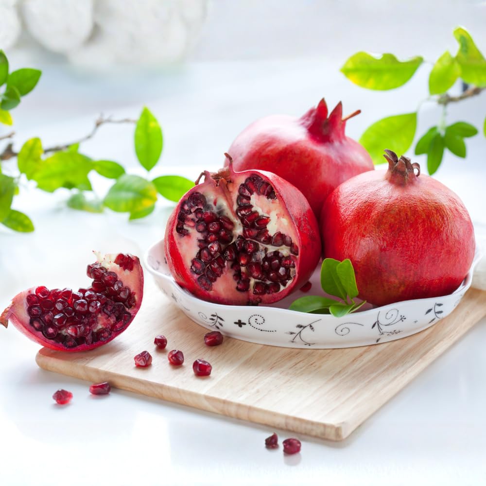 Cold Hardy Pomegranate Tree in Gallon Pot, 20-24 Inches Tall, Live Pomegranate Farfianka Plant, Easy-Care Strong Rooted Plant, Beautiful, Hardy Tree for Outdoor Growing, No Ship to CA,HI,AK
