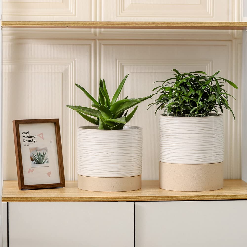 Nihow Self Watering Plant Pot: 6 Inch Ceramic Planter with Drainage Hole & Water Storage Plus for Indoor & Outdoor Plants - Cylinder Round Flower Pot for Succulent/Herbs/Violets - Cream White & Brown