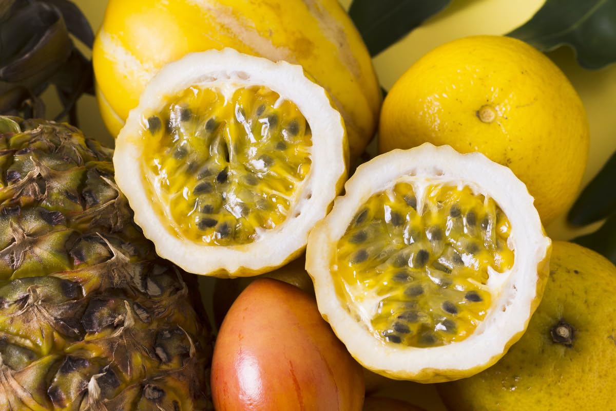 Yellow Passionfruit Plant Live, 5 to 8 Inch Tall, Passion Fruit Tree Live Plant, Passion Fruit Plant Live, Passionfruit Vine Live Plant