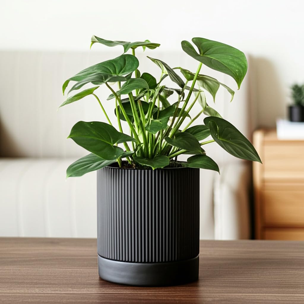 HERDUK 6 Inch Ceramic Plant Pot with Drainage & Saucer - Indoor Planter for Succulents, Cacti & Aloe Vera - Striped Design, High-Temp Fired Clay, Lightweight Modern Decor
