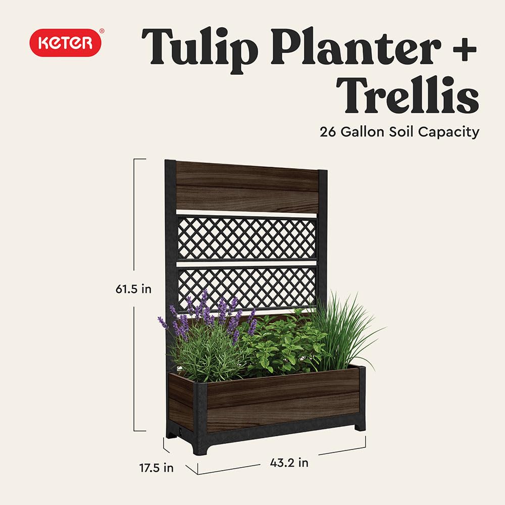 Keter Outdoor Planter Box with Privacy Screen and Trellis – 26 Gallon Raised Garden Bed for Climbing Plants & Flowers – Wood-Look Resin, Weather-Resistant Divider for Patio, Balcony & Backyard