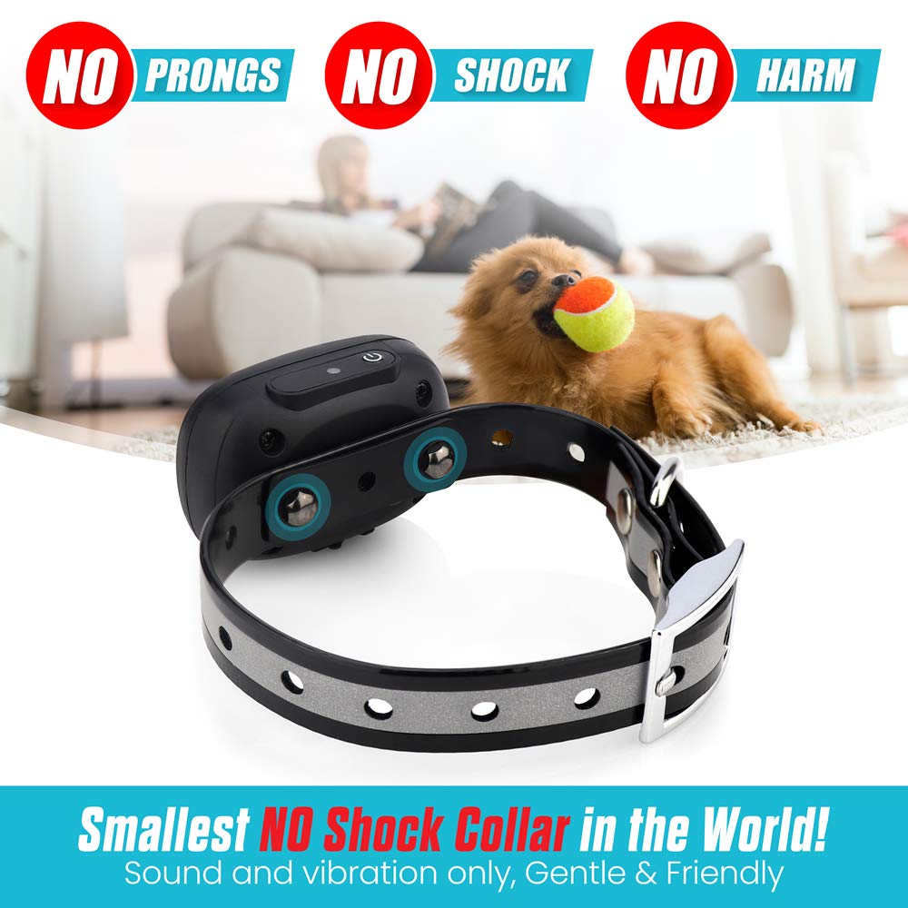 Vibrating Dog Collar - NO Shock - Small Dog Training Collar with Remote - Fits Small Dogs Under 15 pounds (Between 5-15 lbs) - Vibration & Sound Only - 1,000 FT Range - Long Lasting Battery Life