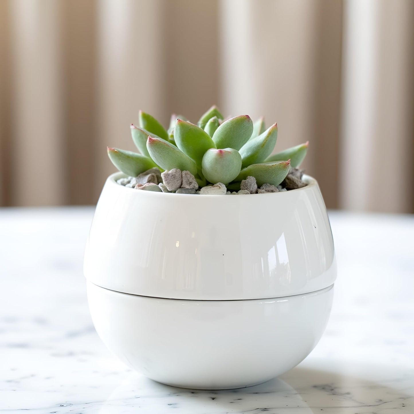 Willowy Small Succulent Pot (1 Pack) - Succulent Pots with Drainage Tray - Ceramic Plant Pots, Cactus/Succulent Planters, Small Flower Pot - No Succulents/Plants Included