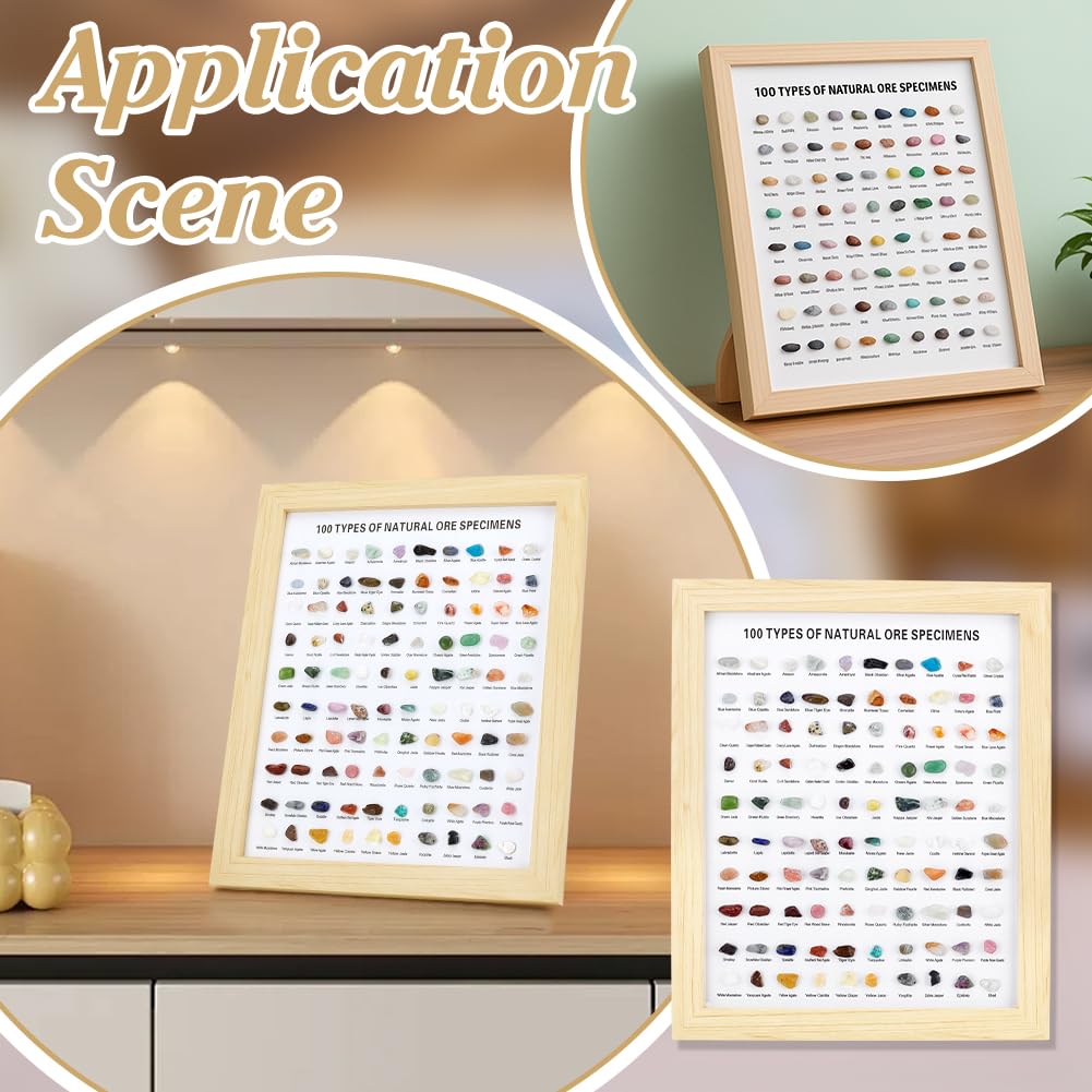 PH PandaHall 100pcs Natural Stones Collection Box Natural Crystal Gemstones Collection Rock Specimen Display Case Gem Stone Decor Shadow Box for Home Office Desk Decoration Birthday Gift Giving