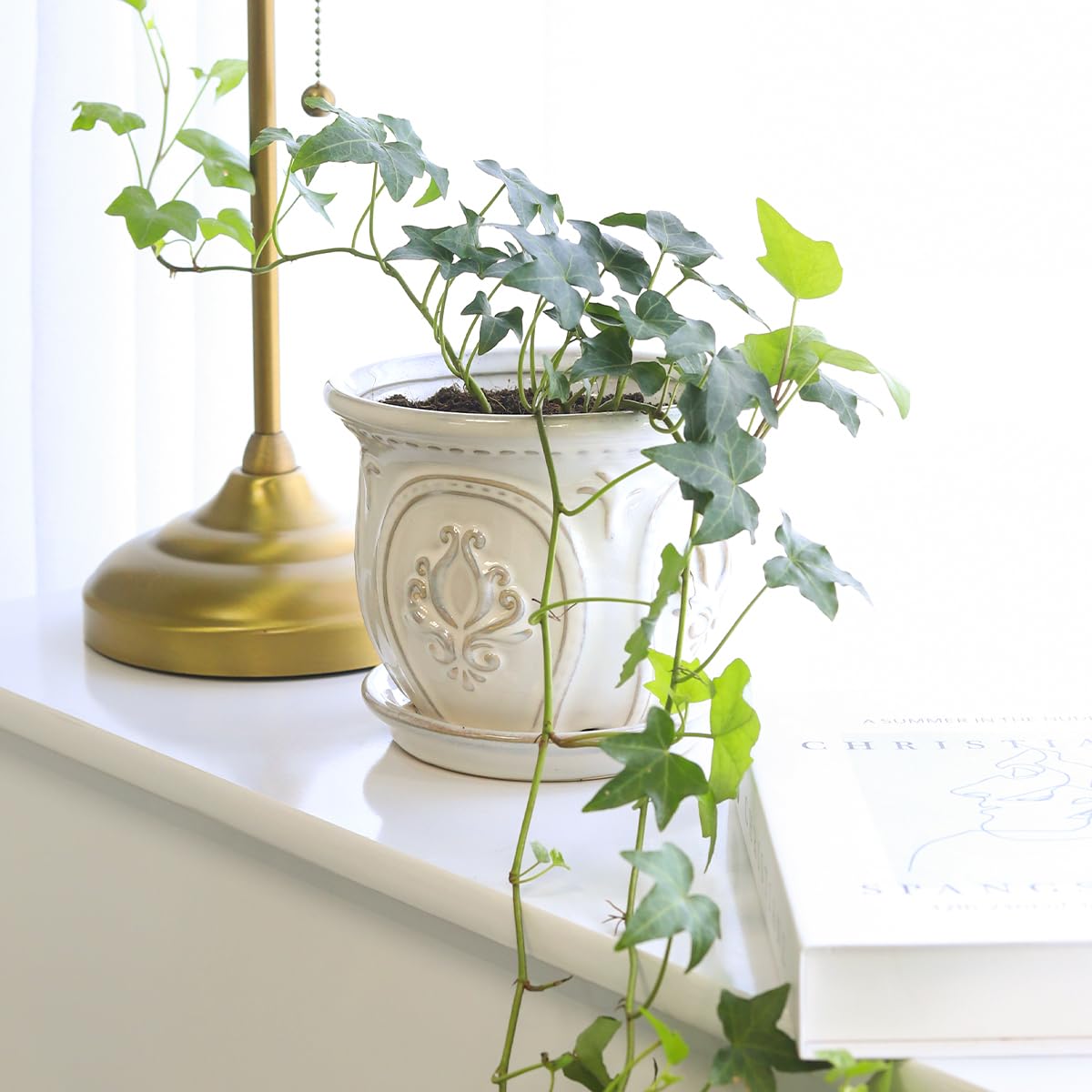 Green Ivy Plant (4" Grower Pot) - Heart-Shaped Green Leaves Houseplant for Home Decoration - Air Purifying, Easy to Grow Houseplant