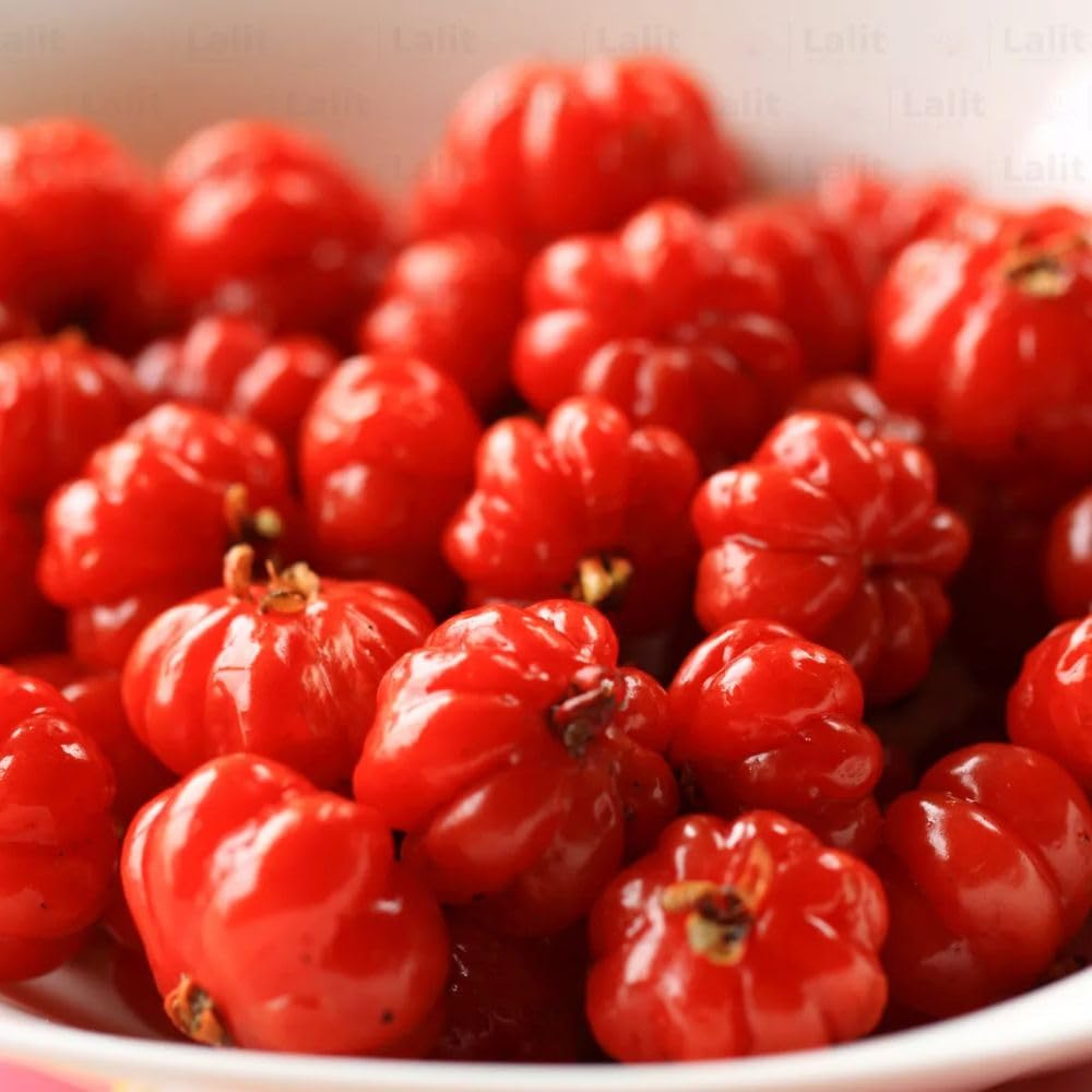 Surinam Cherry Live Plant 4–7" Tall, Surinam Cherry Plant, Tropical Edible Fruit Plant, Fast Growing, Suitable for Indoor Outdoor
