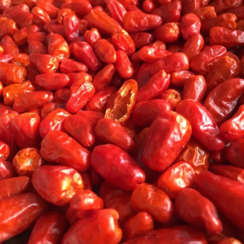 Pequin Peppers Plants, 4 to 6 Inch Tall Pequin Chili Pepper Plant in 4" Pot, Pepper Live Plants Vegetables Pepper Seedlings