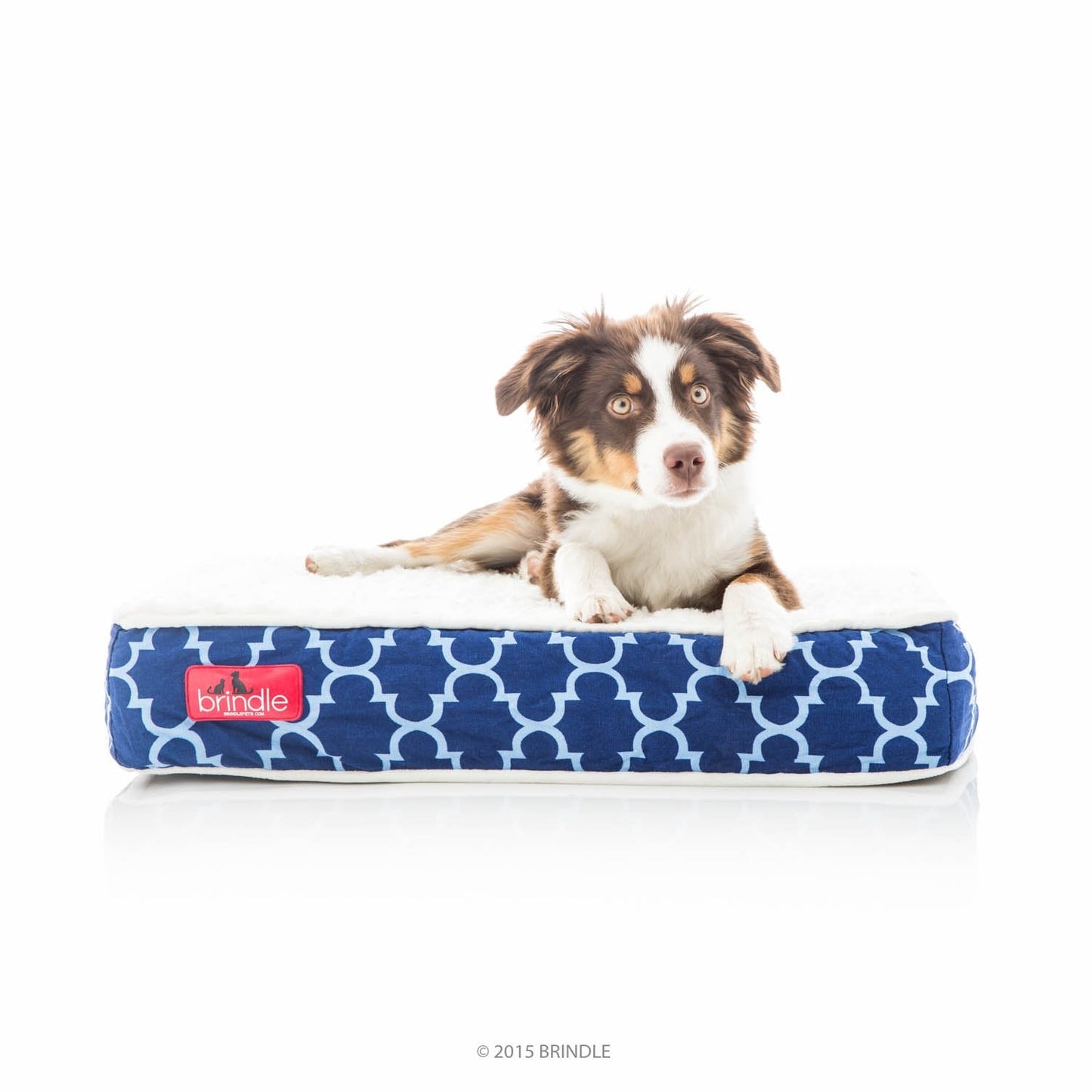 Brindle Waterproof Designer Memory Foam Pet Bed-Removable Machine Washable Cover-4 Inch Orthopedic Pet Bed-Joint Relief, Navy Trellis, Small