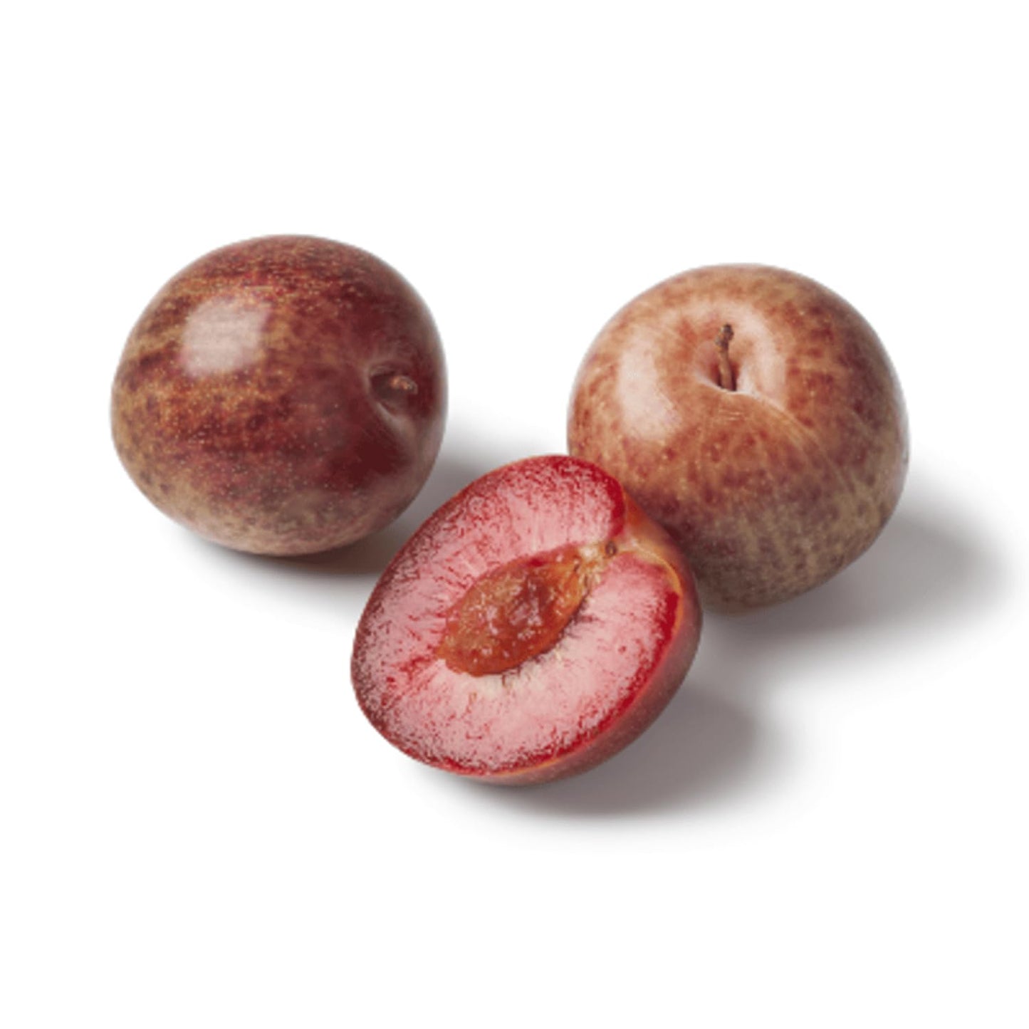 Flavor Pluot Tree Live Plant in 3 Gallon Pot, 2-3 Feet Plum Apricot Pluot Fruit Tree for Outdoor Garden or Backyard Growing, No Ship to CA
