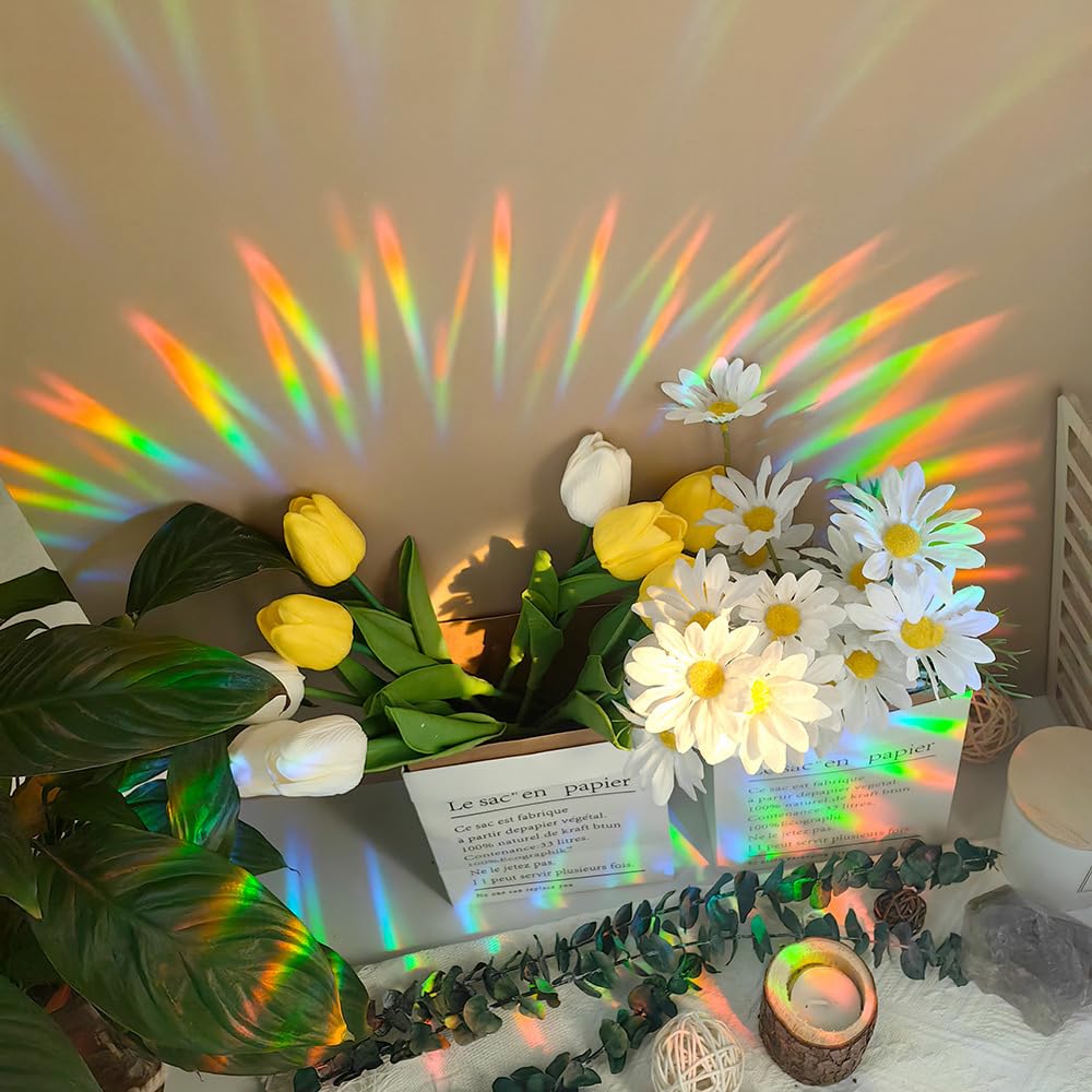 zhuoyaju Acrylic Suncatcher Window Hanging, Birds Sun Catcher Rainbow Indoor Window Decoration for Living Room Bedroom, Unique Gift for Mom Wife & Friends, 7.87 inches