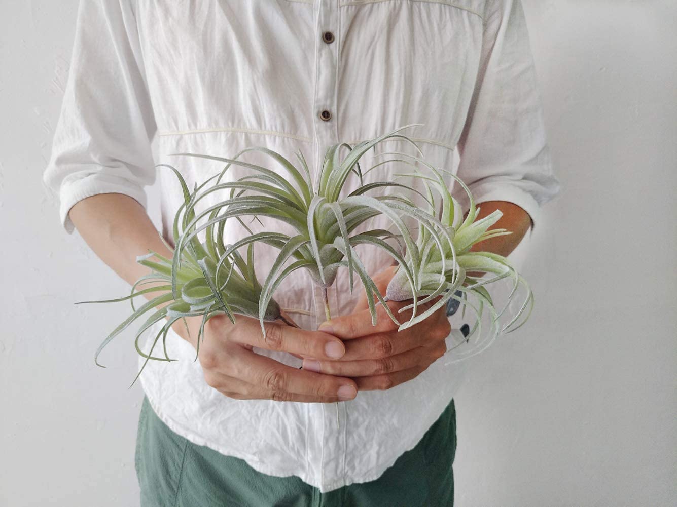 Artificial Air Plants Faux Succulents Plants Unpotted Small Tillandsia Look Real in Flocked Green Premium Crafting DIY Floral Decor for Home Garden Office Party, 3 pcs