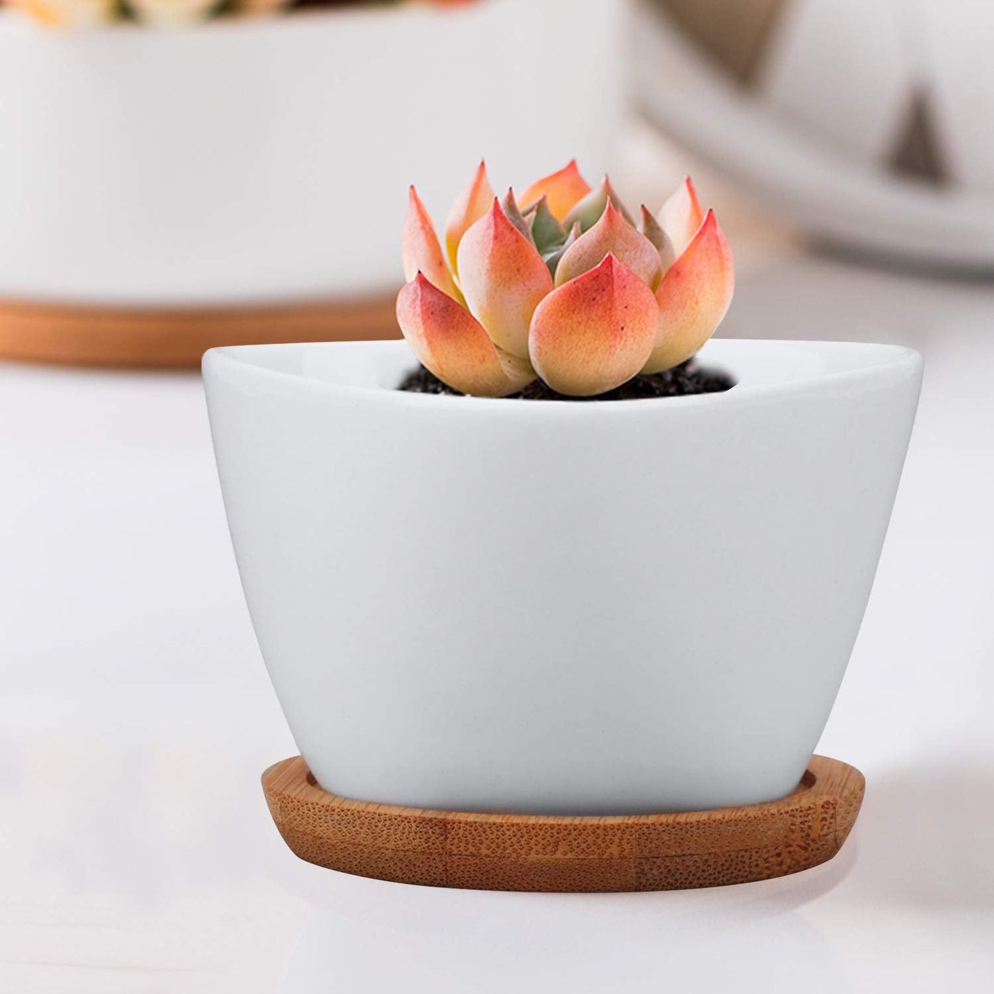 Brajttt Succluent Pots ,Small Flower Pots Planter Pots with Drinage,Ceramic Flowers Pots with Bamboo Tray for Cactus(12 Pack)