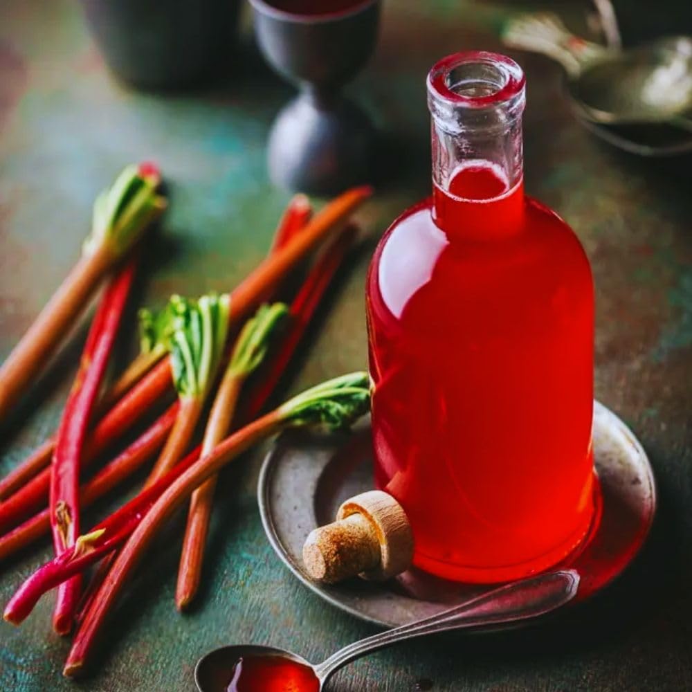 5 Large Rhubarb Plants Roots for Planting, Rhubarb Plants Live Roots for Planting, 3 to 5 Inc Tall, Backyard Gardens