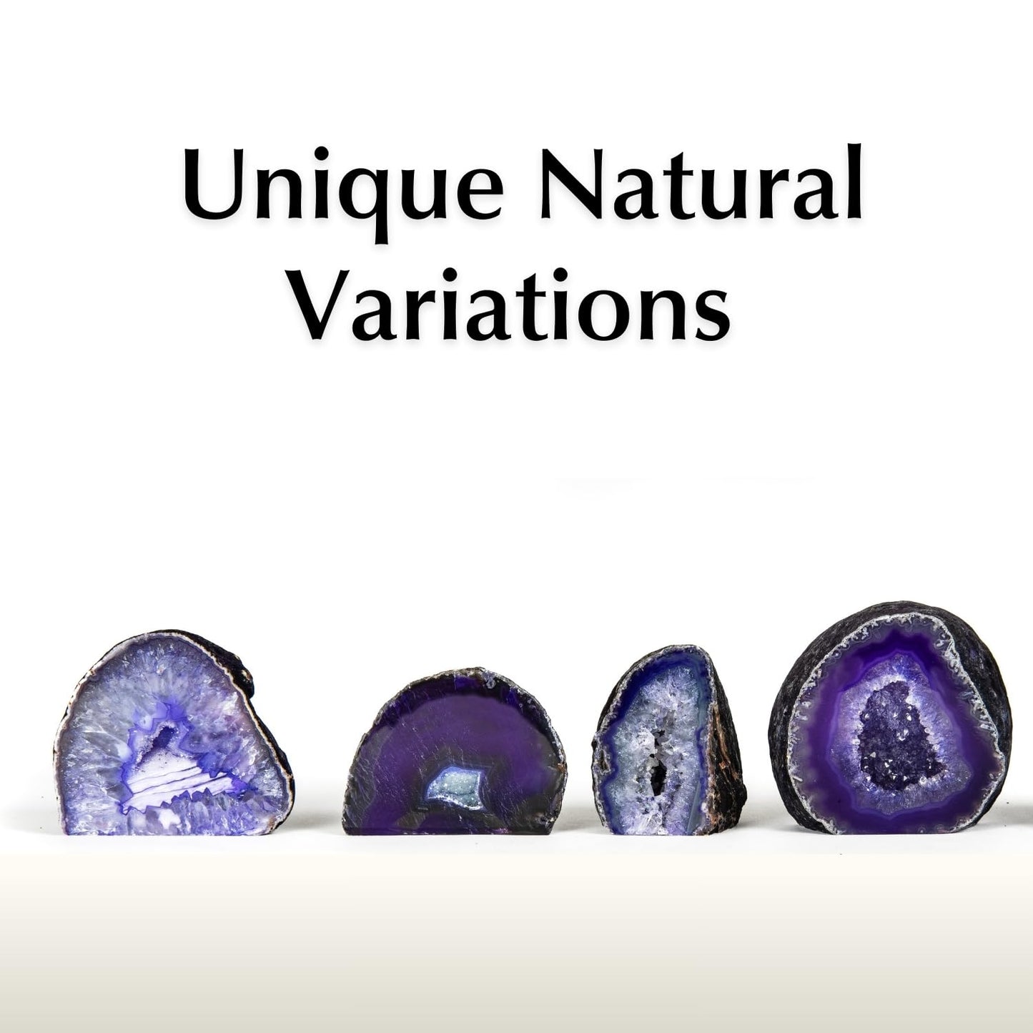 Fossil Gift Shop 2-3" Agate Geode (Purple)