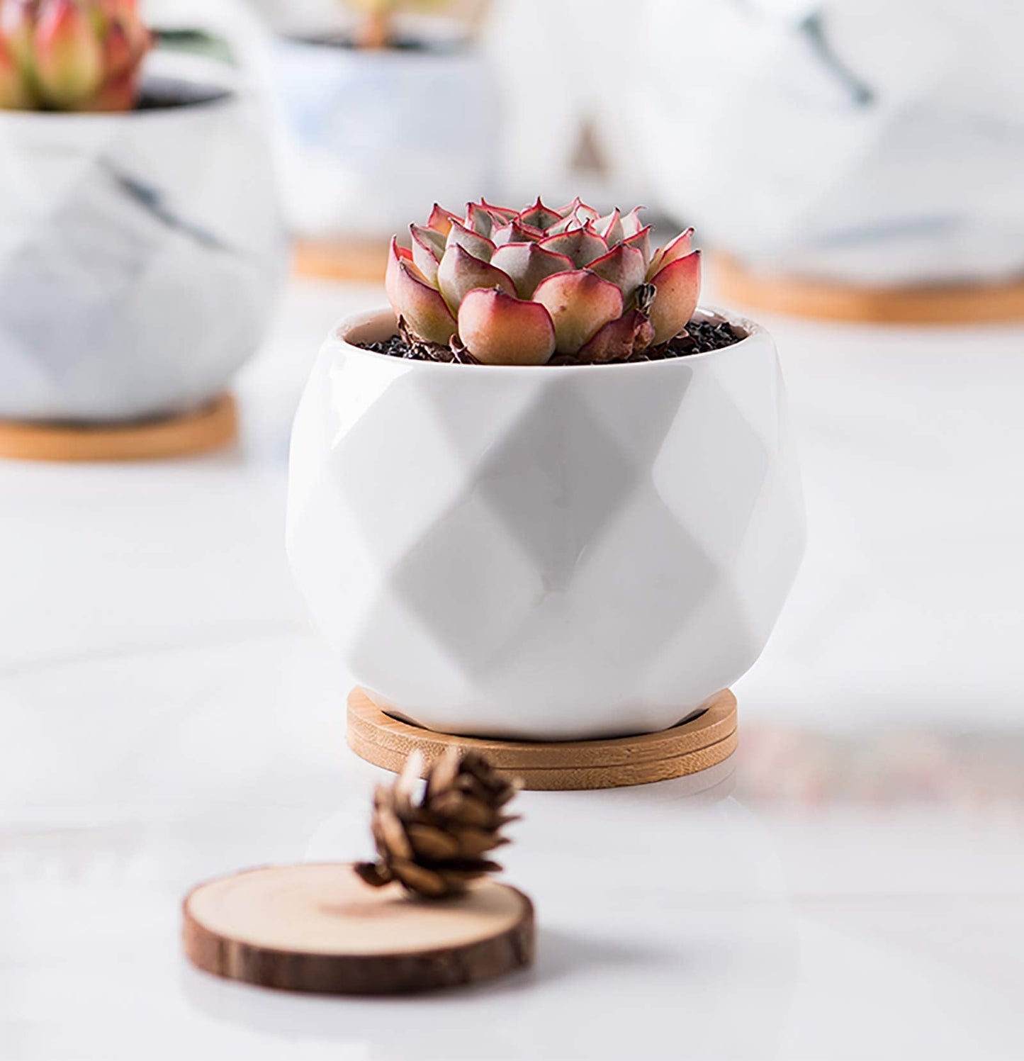 Jucoan 6 Pack Ceramic Succulent Planter Pot with Bamboo Tray, 4 Inch Small White Diamond Shaped Cactus Herb Flowers Planter with Drainage Hole for Indoor Home Office Decor
