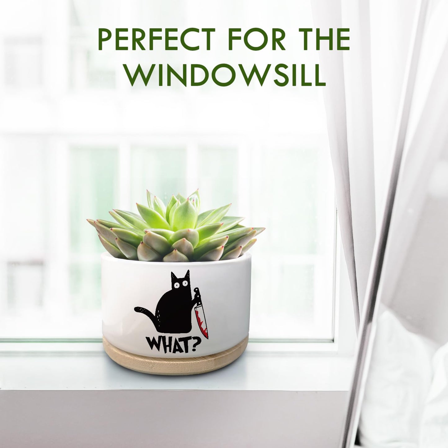 Jutasty Funny Black Cat Plant Pot for Succulent, Cactus Flower Planter for Indoor Plants, Unique Succulents Pots with Drainage, Cats Owner Gifts, Home Desk Decor Planter Gift for Cat Lover (No Plants)