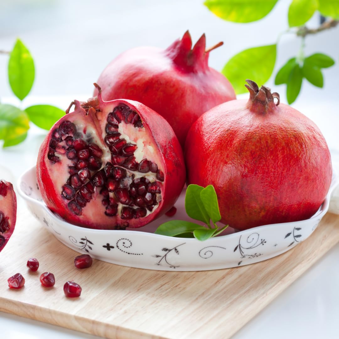 Pomegranate Tree Live Plant, 5 to 9 Inch Tall, Potted Pomegranate Plant, Pomegranate Fruit Tree, 4 Inch Pot Pomegranate Plants Live, Pomegranate Bush, Red Pomegranate Tree