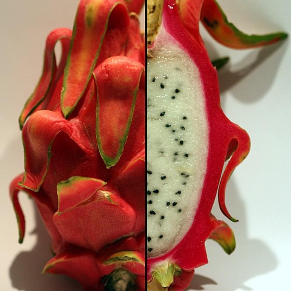 New 20pcs Dragon Fruit Seeds Generic