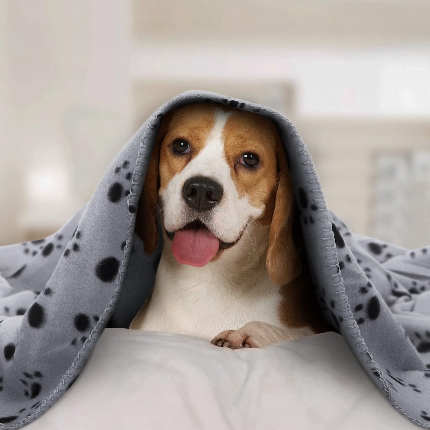Nobleza - 6 x Dog Blanket Cat Cushion Puppy Kitten Sleep Pad Mat Pet Bed Cover Washable Warm Soft Fluffy Fleece Blankets 75 * 75cm