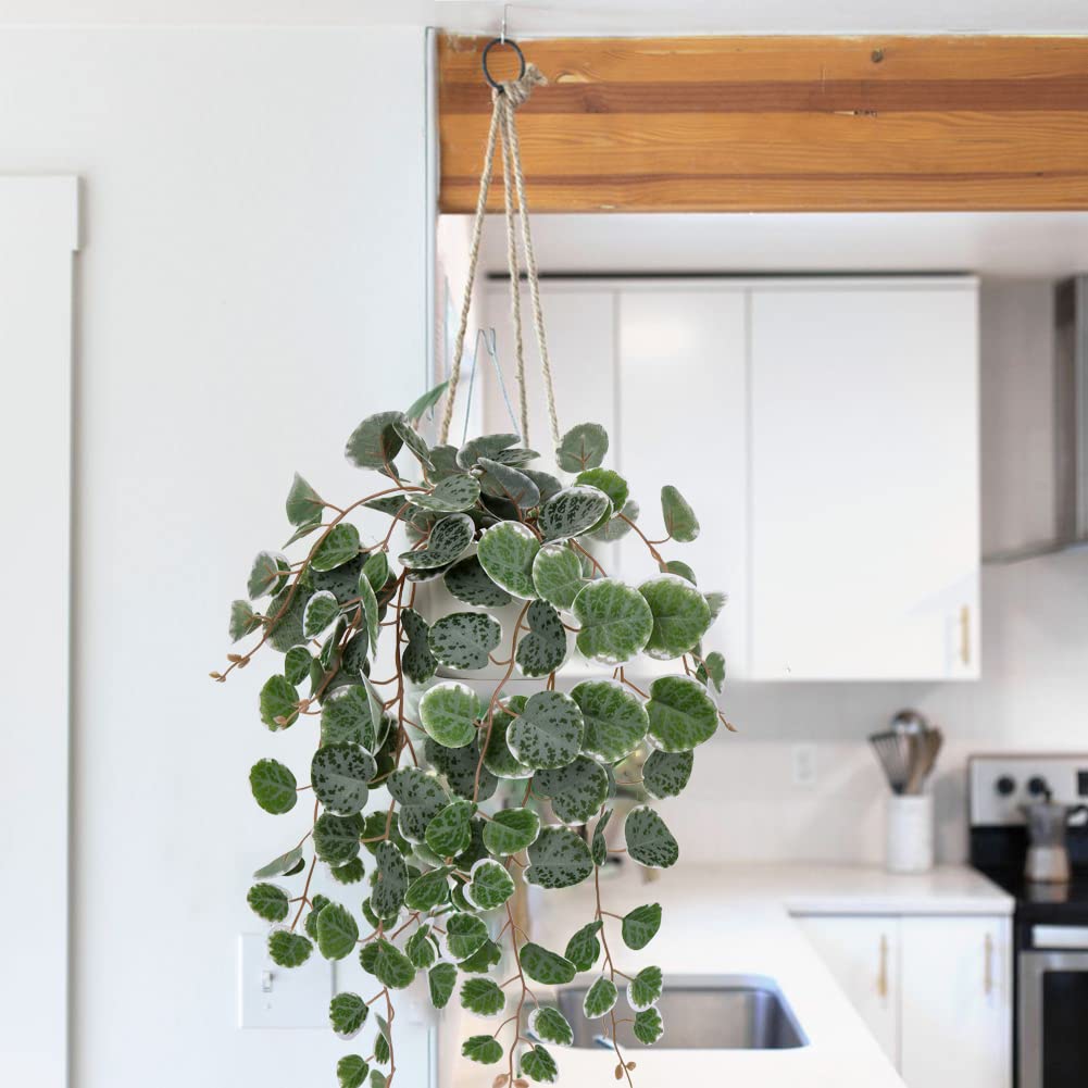 Briful Fake Plants Indoor 16'' Artificial String of Hearts Plants with Ceramic Pot Faux Draping Vine Plants for Home Bathroom Table Shelf Office Hotel Decor