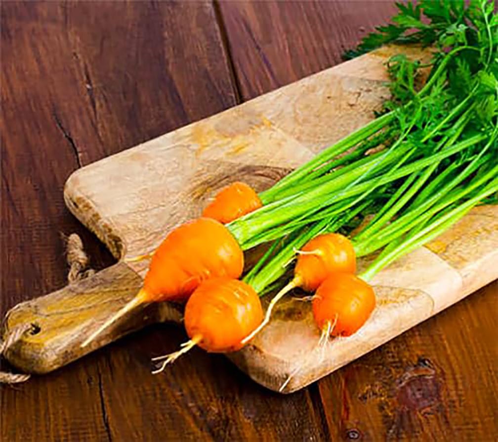 Round Baby Parisian Carrots Seeds A Delicacy Prised by Gourmet Restaurants Delicious Carrot Vegetable Seeds - 1000 Seeds