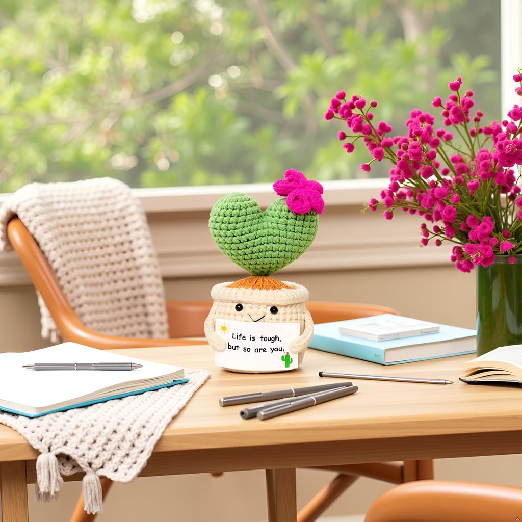 BRIFUFOUS Get Well Gifts for Women, Handmade Crochet Cactus Plant
