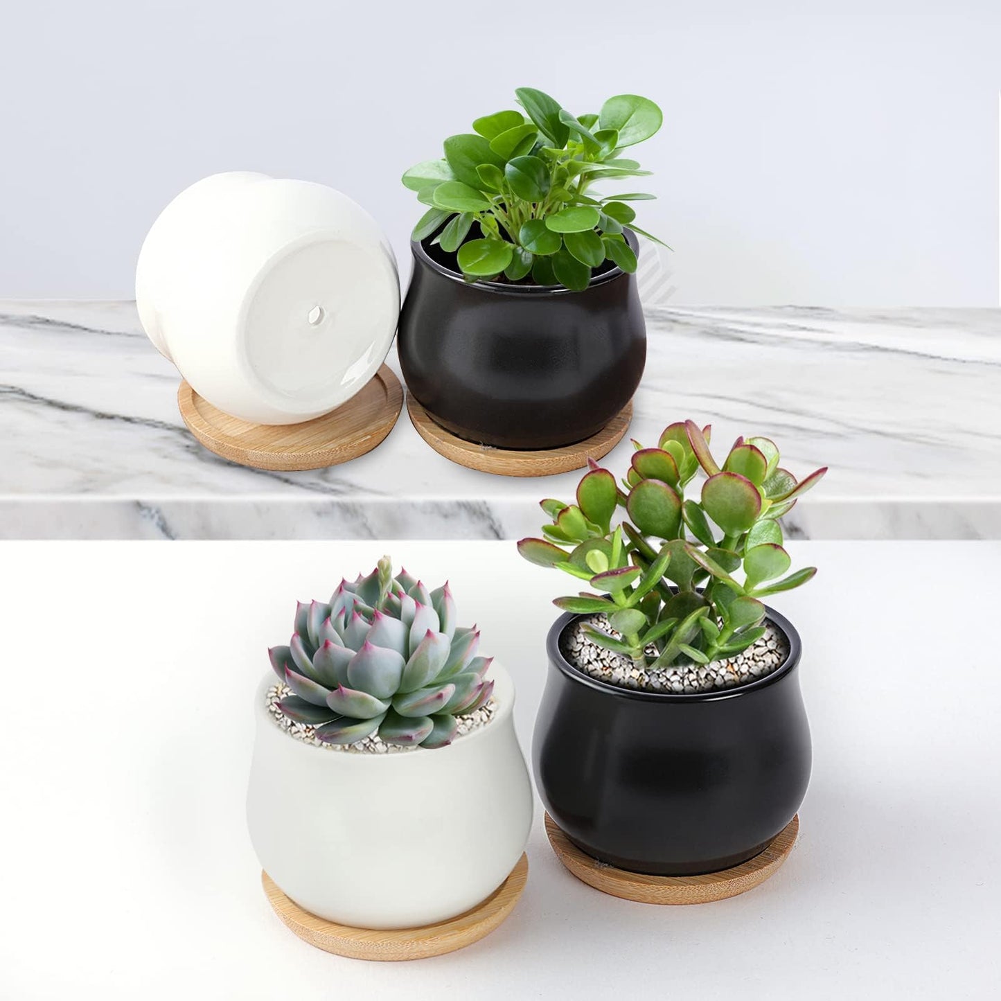 SHECIPIN 2 Pack Succulent Pots, 2.5 Inch Mini Ceramic Pots for Flower or Cactus Plants with Drainage Hole,Plants Not Included (White)