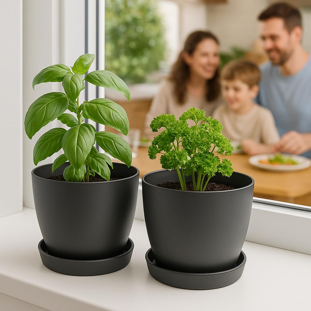 Home Garden Ornaments Plant Pots Indoor, Indoor Plant Pot - Decorative Flower Pots with Mat Surface and Plant Pot Saucer (Diameter: 16cm, Colour: Black)