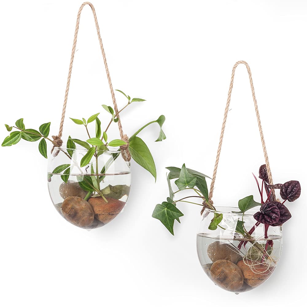 2 Pack Terrariums Container Flower Planter Hanging Glass for Hydroponic Plants Home Garden,Home Office Living Room Decor,Oblate Shape