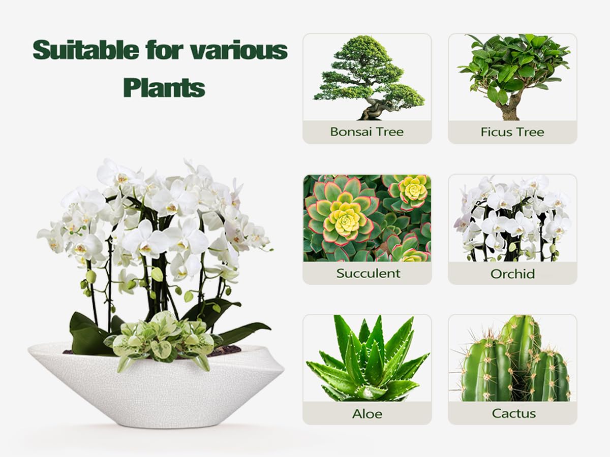 EPFamily Bonsai Pots - 18 Inch Ceramic Plant Pot for Bonsai Tree, Modern Indoor & Outdoor Succulent Planter with Drainage, Room Decor, Gifts for Plant Lovers, White-Black