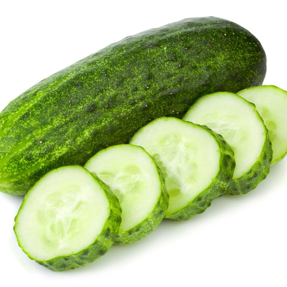 Set of 2 Live Green Cucumber Plants, 3 to 5 Inches Tall, Cucumber Plants Live, 4 Inches Pot, Cucumber Live Plants, Cucumber Starter Plants for Growing, Easy to Plant Outdoor