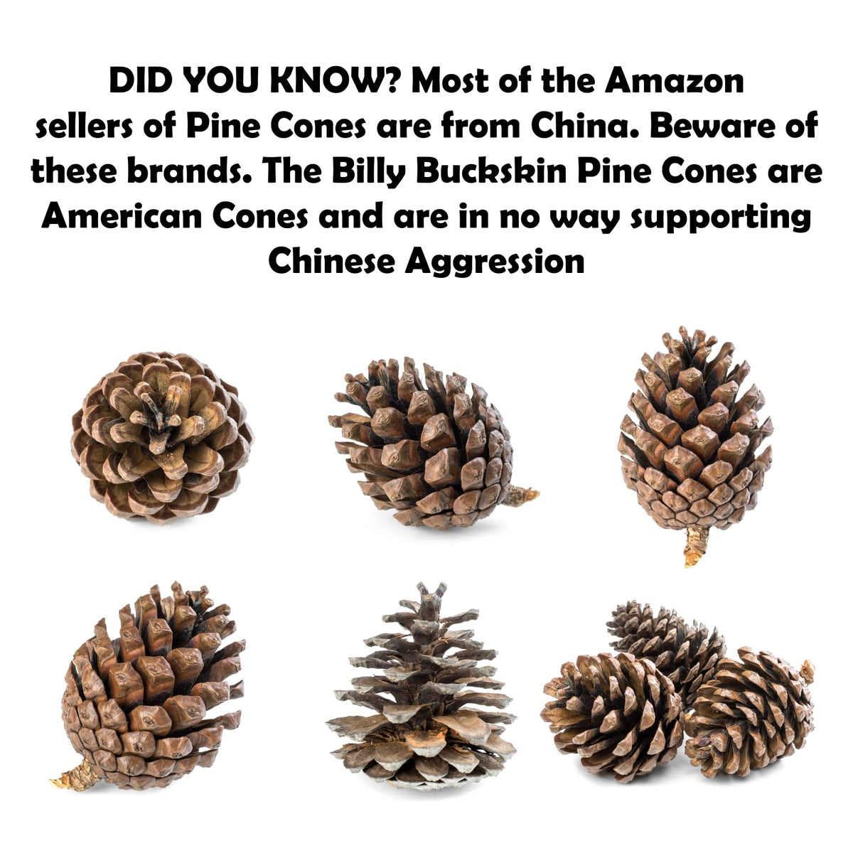 20 Large Natural Pine Cones for Crafts, 3" to 4" Tall Pine Cones Craft for Table, Home Decor, Vase Fillers, Desk & Christmas Trees, Unscented Pinecones Crafts Ornament for Decorating by Billy Buckskin