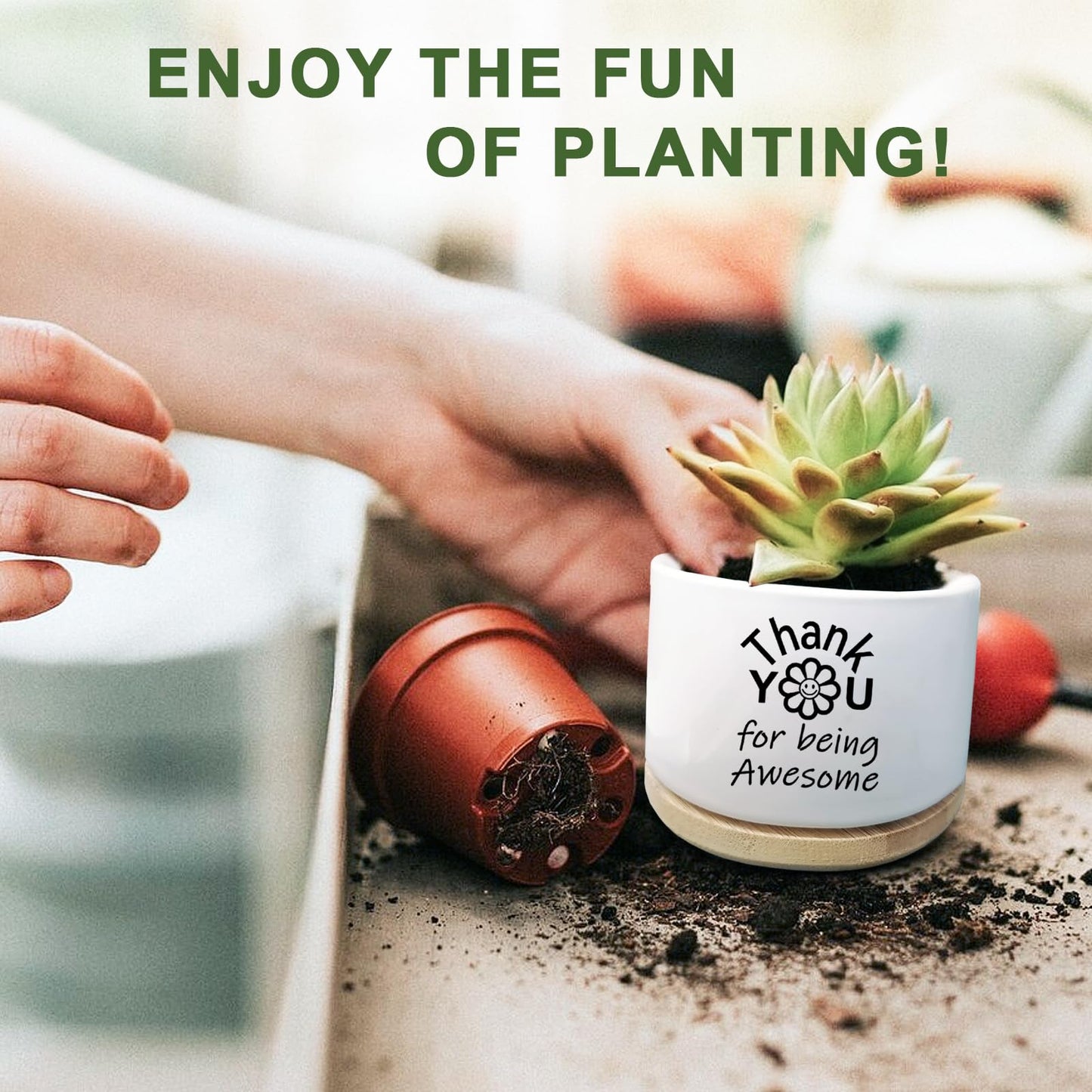 Aryabtya Thank You Gifts for Women, Succulent Planter, Flower Cactus Plant Pot, Employee Appreciation Gifts for Coworkers Nurse Friends Women, Thank You for Being Awesome (No Plants)